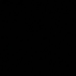 Meet your Posher, Nohely